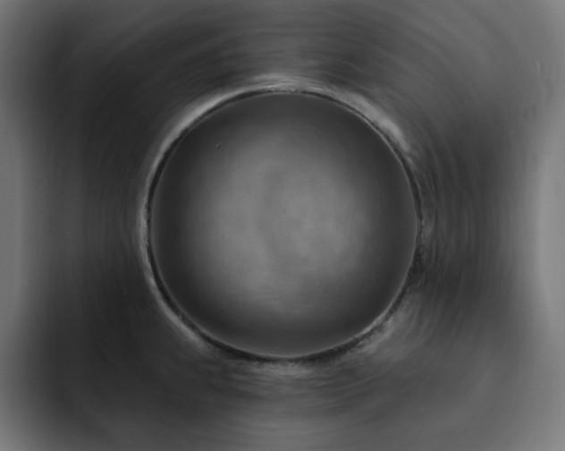 X0000093261239200710031558