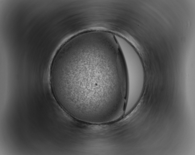 X0000093261240200710031558