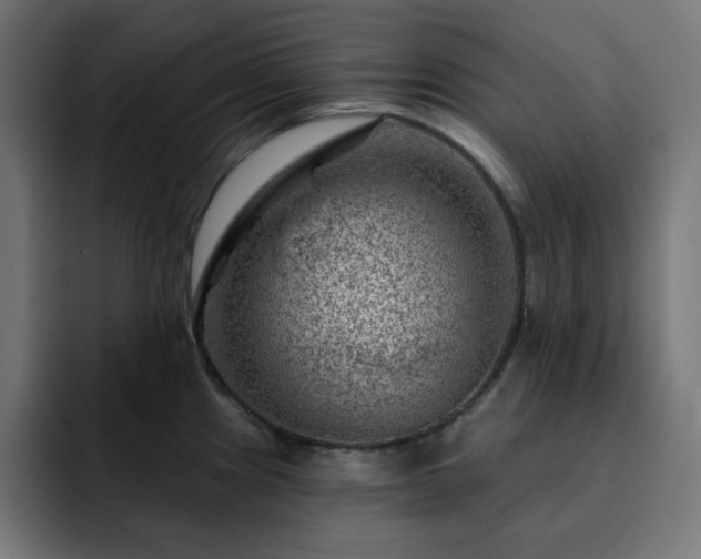 X0000093261241200710031558