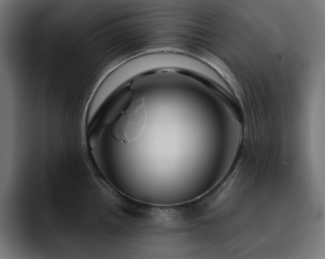 X0000093261242200710031558