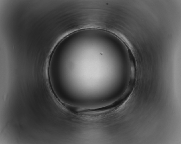 X0000093261246200710031558