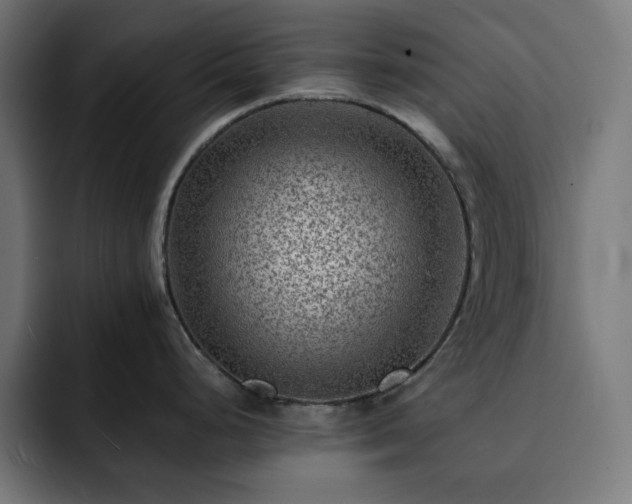 X0000093261248200710031558