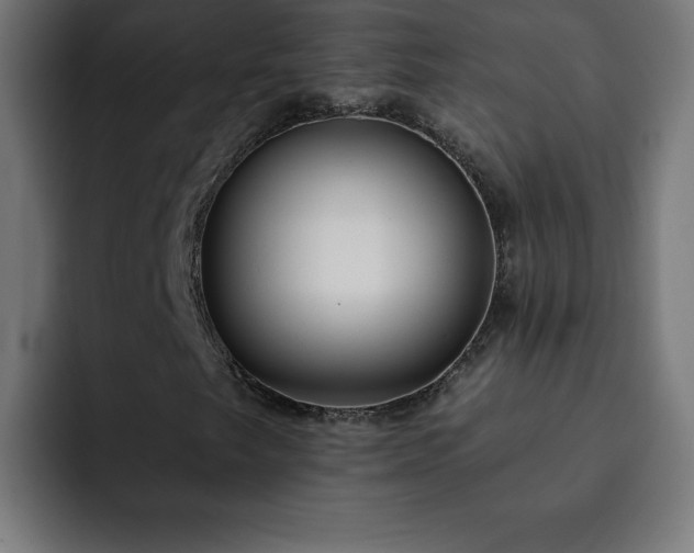 X0000093261249200710031557