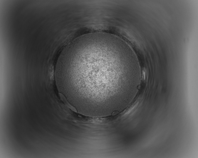 X0000093261251200710031557