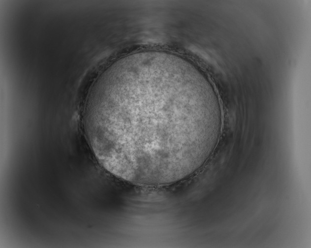 X0000093261254200710031557