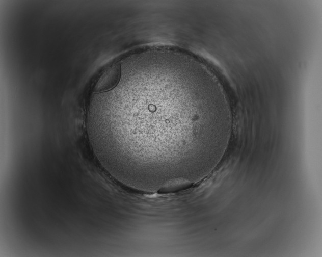 X0000093261255200710031557