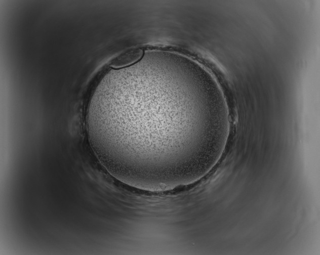 X0000093261256200710031557