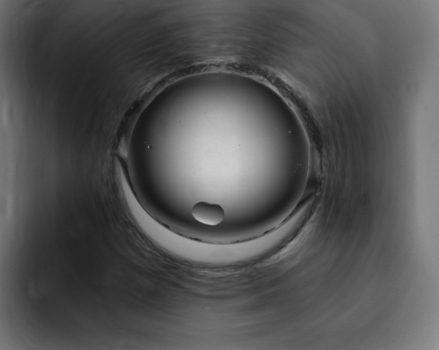 X0000093261257200710031557