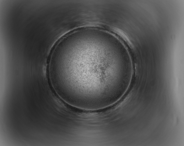 X0000093261260200710031557