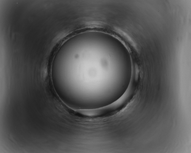 X0000093261261200710031557