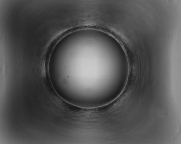 X0000093261262200710031557