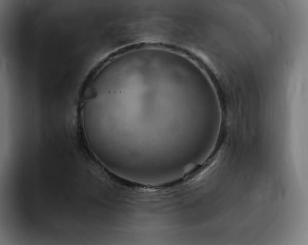 X0000093261263200710031557