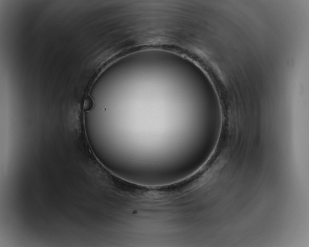 X0000093261265200710031557