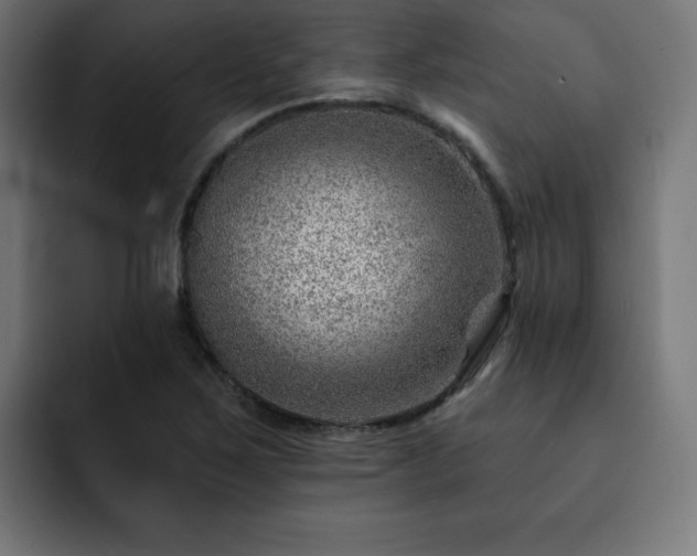 X0000093261267200710031557