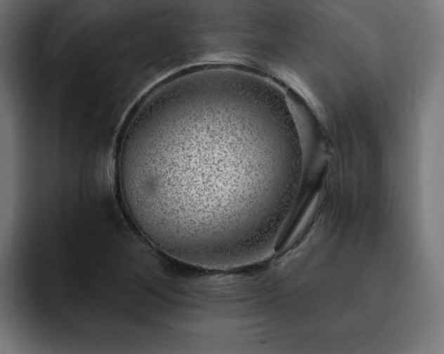 X0000093261268200710031557