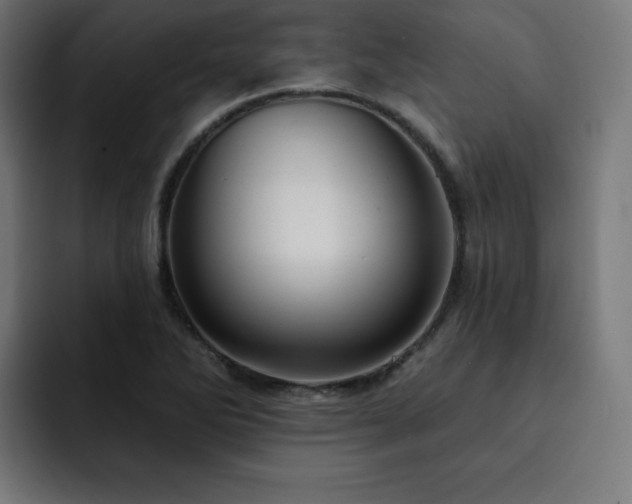 X0000093261270200710031557