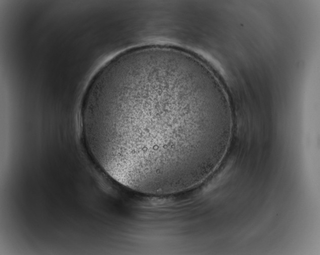 X0000093261271200710031557