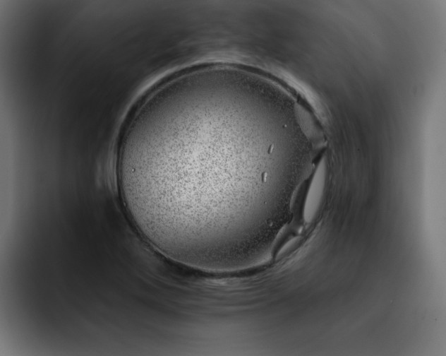 X0000093261272200710031557
