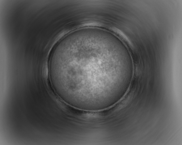 X0000093261274200710031557