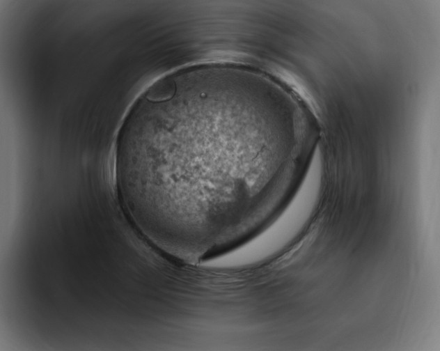 X0000093261275200710031557