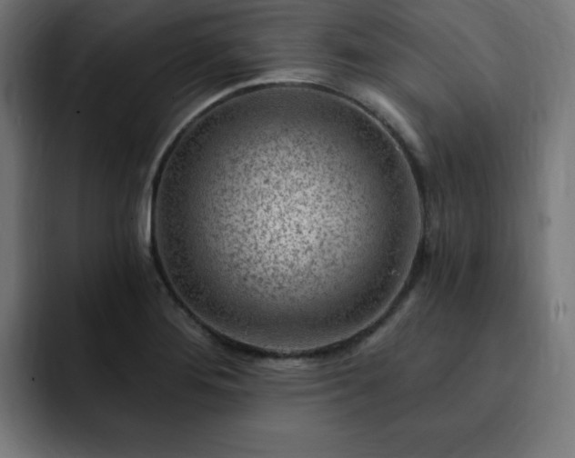 X0000093261276200710031557