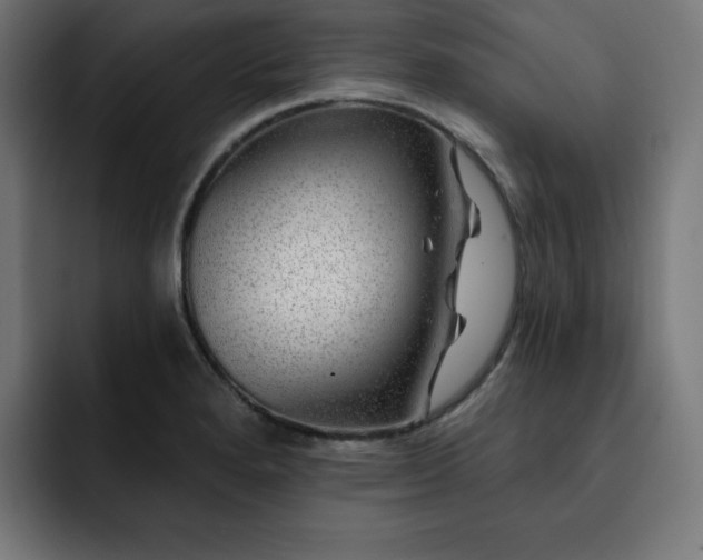 X0000093261280200710031557