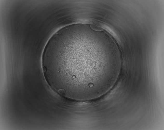 X0000093261283200710031557