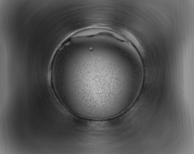 X0000093261284200710031557