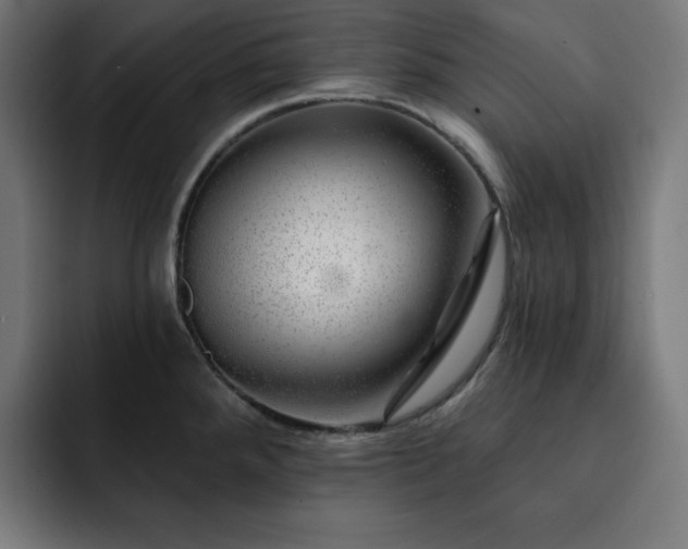 X0000093261288200710031557
