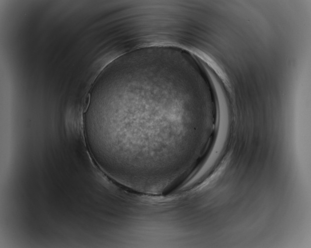 X0000093261289200710031557