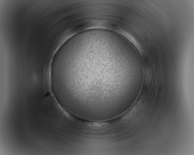 X0000093261290200710031557