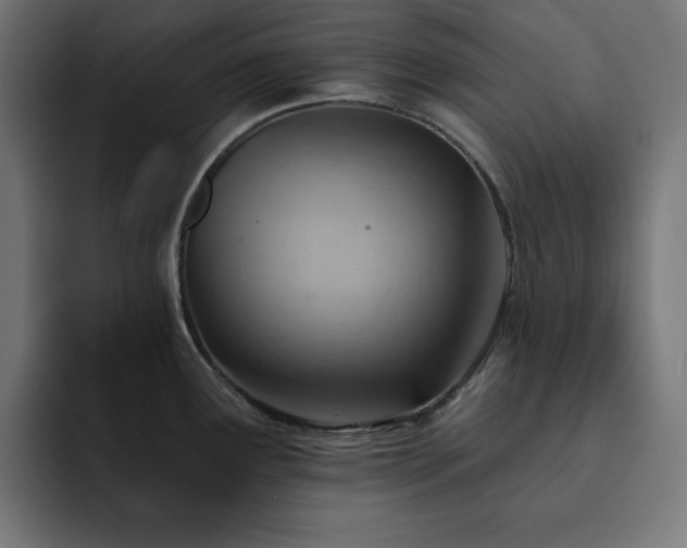 X0000093261291200710031557