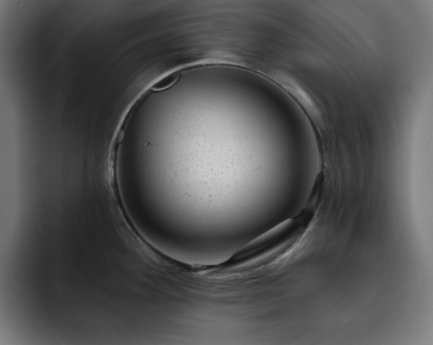 X0000093261292200710031557