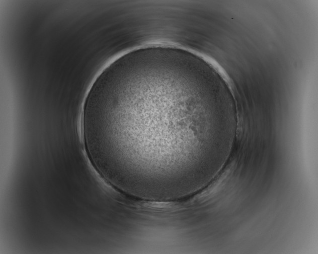 X0000093261295200710031557