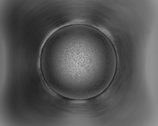 X0000093261296200710031557