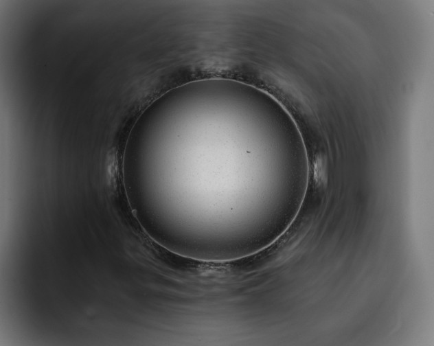 X0000093261299200710031556