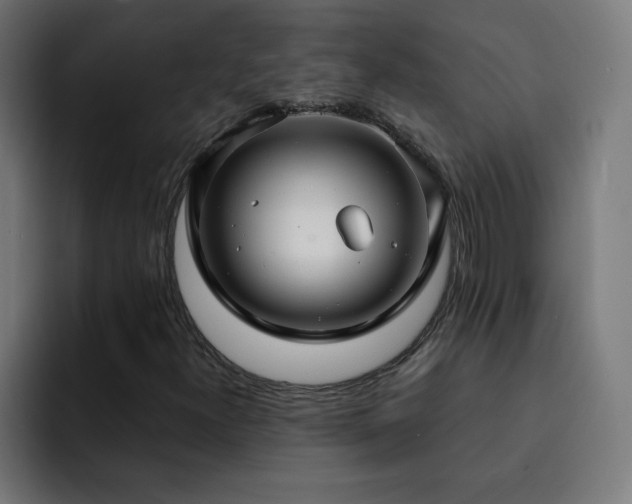 X0000093261300200710031556
