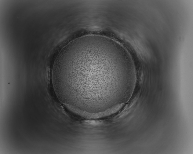 X0000093261301200710031556