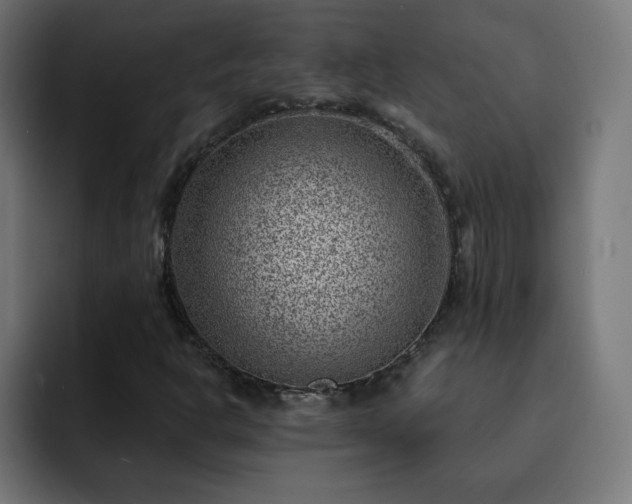 X0000093261302200710031556