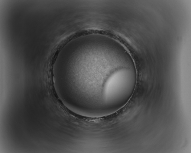 X0000093261303200710031556