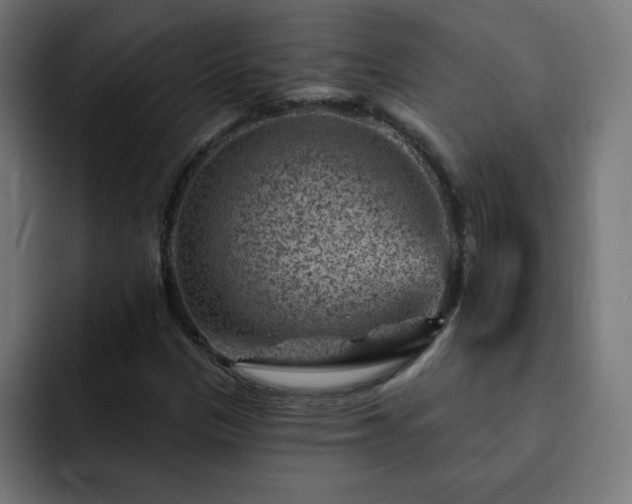 X0000093261305200710031556