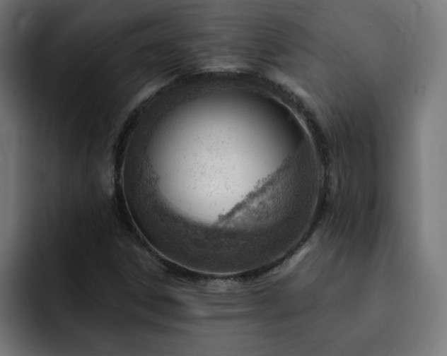 X0000093261306200710031556