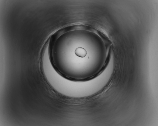 X0000093261308200710031556