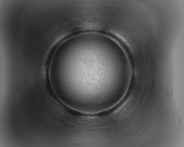 X0000093261309200710031556