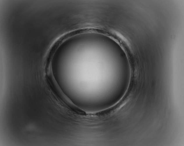 X0000093261310200710031556