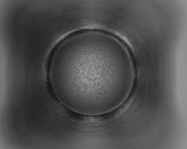 X0000093261311200710031556