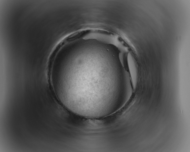X0000093261312200710031556