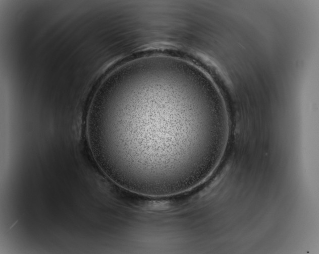 X0000093261313200710031557