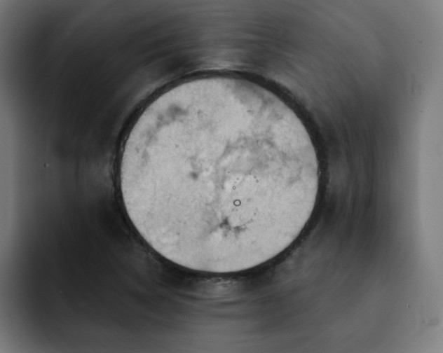 X0000093261314200710031557