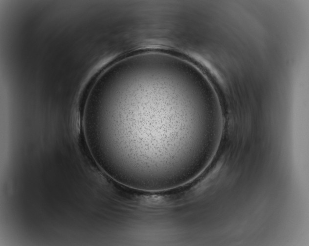 X0000093261317200710031557